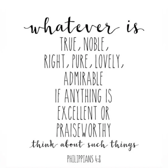 🎀 PINK VS • BOWS 🎀 Boxer Shorts • Dorm loungewear • sorority • matching • XL - Picture 13 of 13